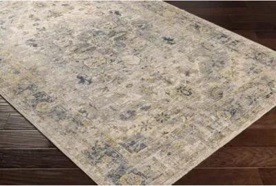 Aspendos APS-2310 2'7" x 10' Rug