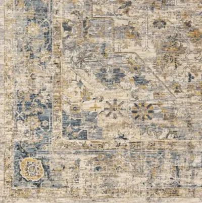 Aspendos APS-2310 2'7" x 10' Rug