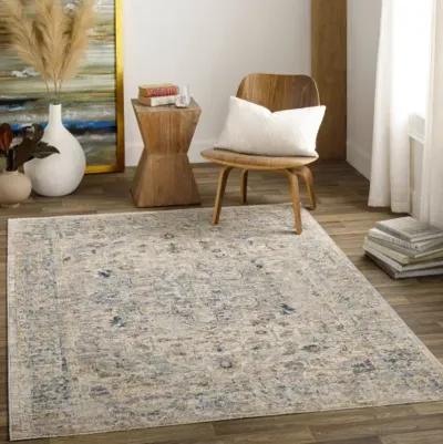 Aspendos APS-2310 2'7" x 10' Rug