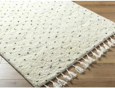 Mirela MMI-2305 9' x 12' Hand Made Rug