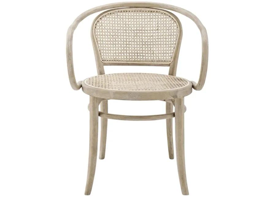 Oliana Wood Dining Armchair Set of 2