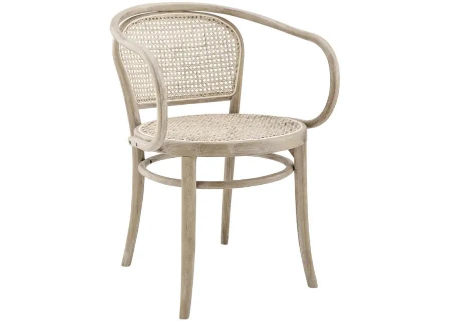 Oliana Wood Dining Armchair Set of 2