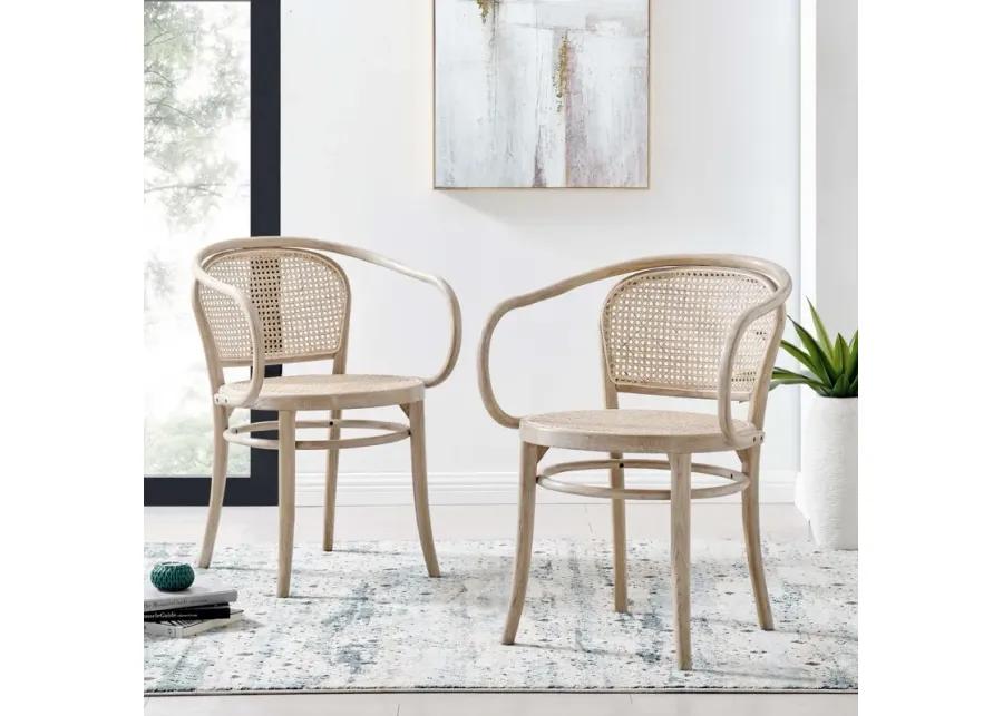 Oliana Wood Dining Armchair Set of 2