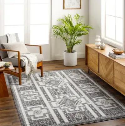 Positano PSN-2317 6'7" x 9' Machine Woven Rug