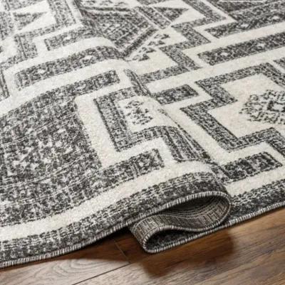 Positano PSN-2317 6'7" x 9' Machine Woven Rug