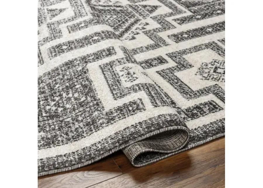 Positano PSN-2317 6'7" x 9' Machine Woven Rug