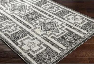 Positano PSN-2317 6'7" x 9' Machine Woven Rug