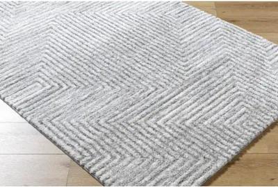 Delight Shag DEL-2309 5'3" x 7' Machine Woven Rug