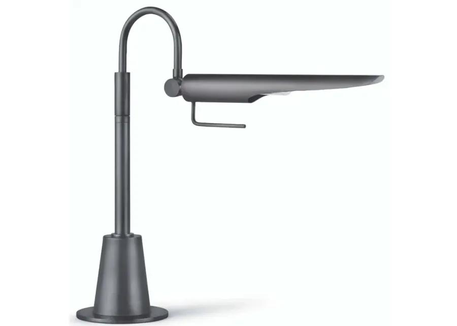 Raven Task Lamp