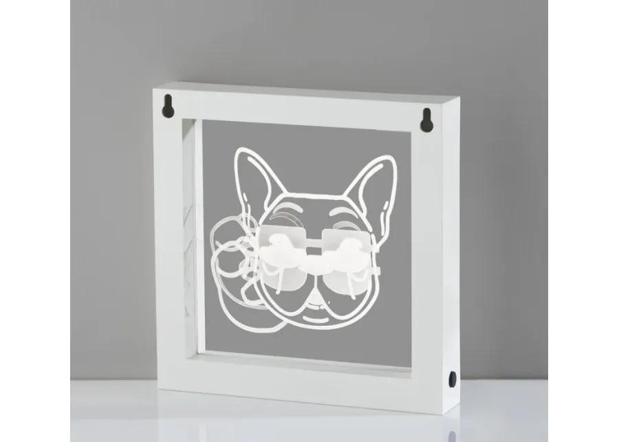 Cool Dog Video Light Box