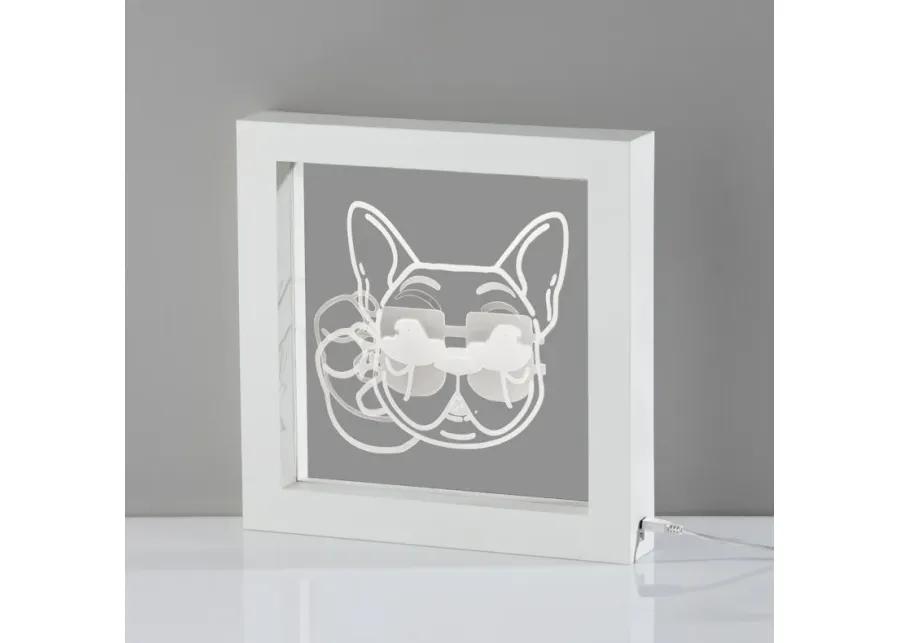 Cool Dog Video Light Box