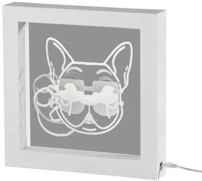 Cool Dog Video Light Box