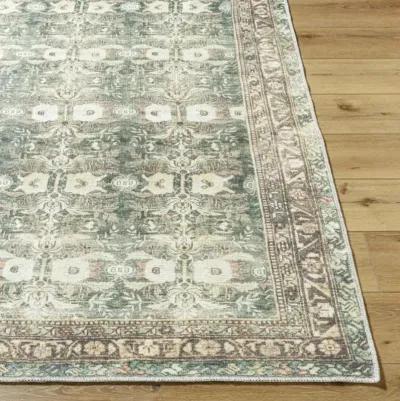 Amelie AML-2396 6'7" x 9' Machine Woven Rug