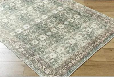 Amelie AML-2396 6'7" x 9' Machine Woven Rug