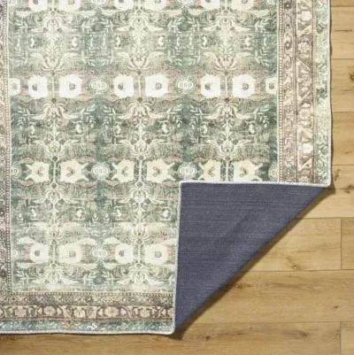 Amelie AML-2396 6'7" x 9' Machine Woven Rug