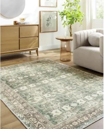 Amelie AML-2396 6'7" x 9' Machine Woven Rug