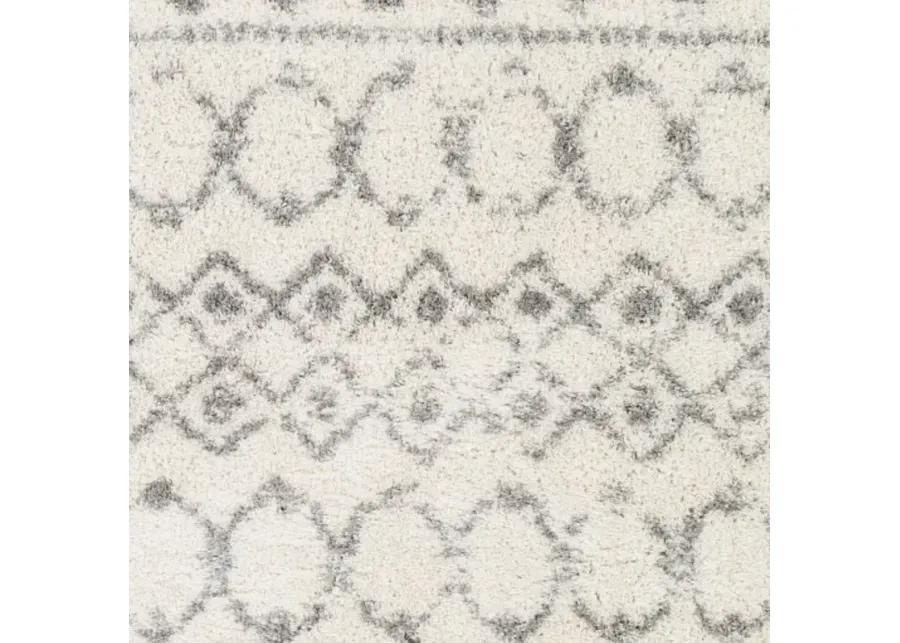 Aliyah shag 2' x 3' Rug