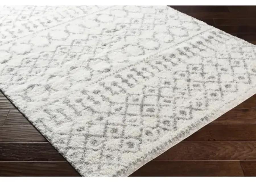 Aliyah shag 2' x 3' Rug