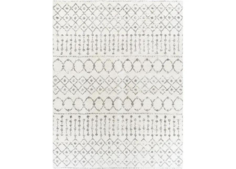 Aliyah shag 2' x 3' Rug