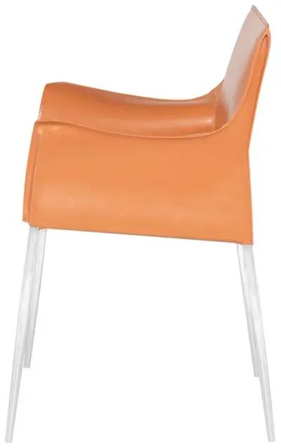 COLTER DINING CHAIR