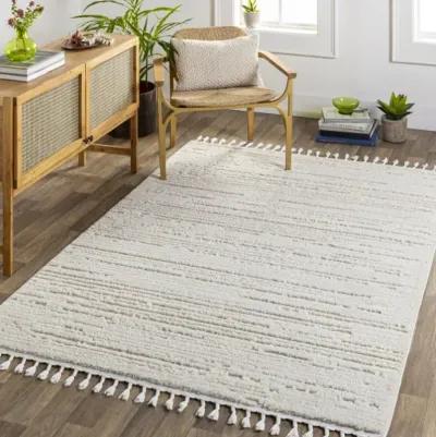 Azilal 5'3" x 7' Rug