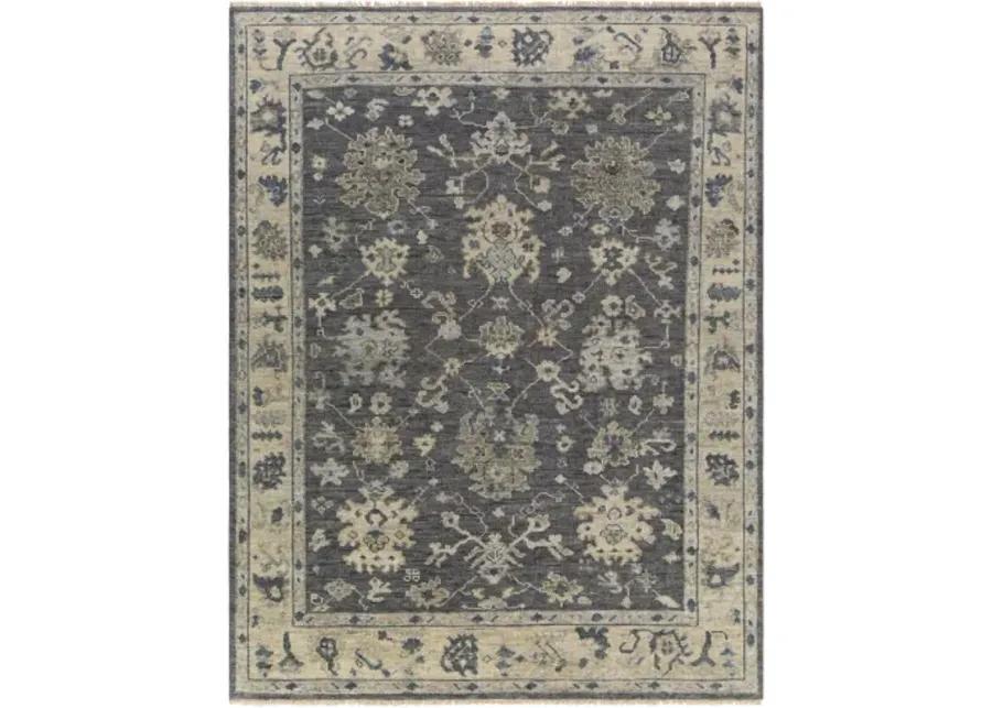 Biscayne 4' x 6' Rug