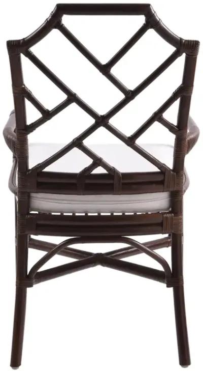 Kara Paloma Brown Dining Chair