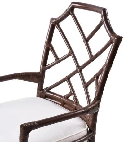 Kara Paloma Brown Dining Chair