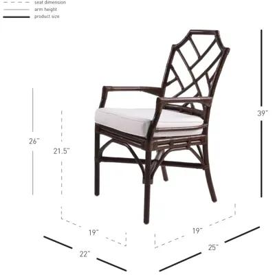 Kara Paloma Brown Dining Chair