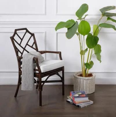 Kara Paloma Brown Dining Chair