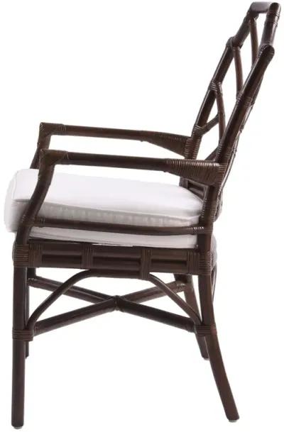 Kara Paloma Brown Dining Chair