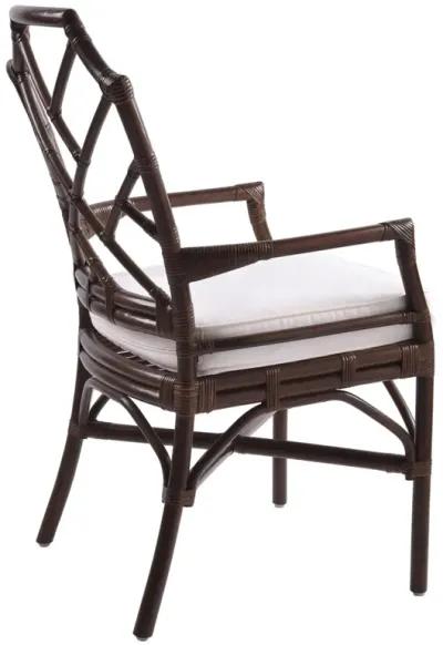 Kara Paloma Brown Dining Chair