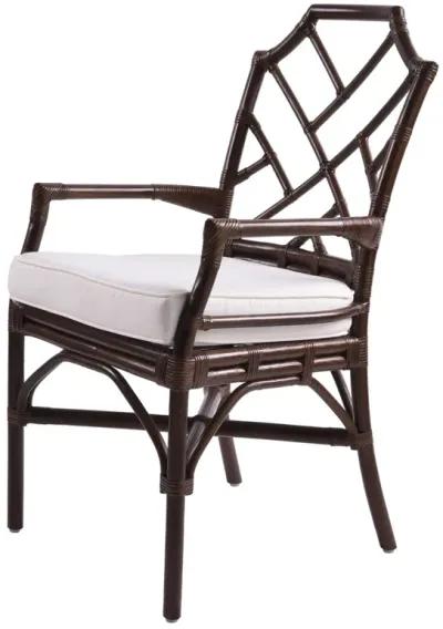 Kara Paloma Brown Dining Chair