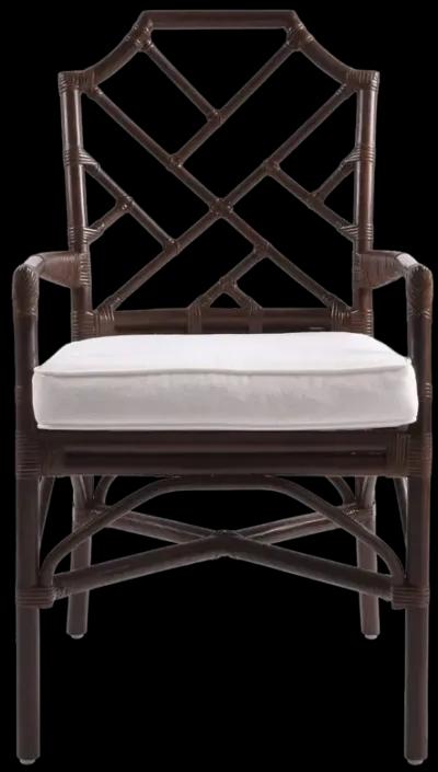 Kara Paloma Brown Dining Chair