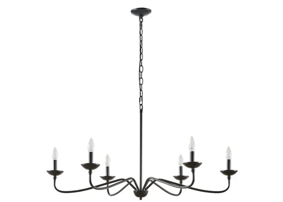 Hampton Hill Brighton Matte Black 6-Light Farmhouse Metal Chandelier