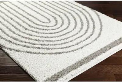 Birmingham BMM-2314 5'3" x 7' Machine Woven Rug