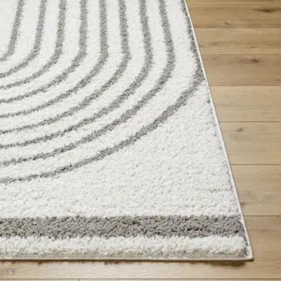 Birmingham BMM-2314 5'3" x 7' Machine Woven Rug