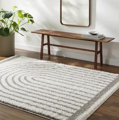 Birmingham BMM-2314 5'3" x 7' Machine Woven Rug