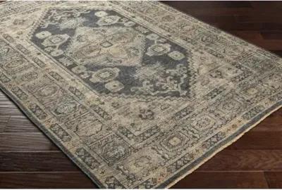 Reign REG-2309 2'6" x 8' Rug