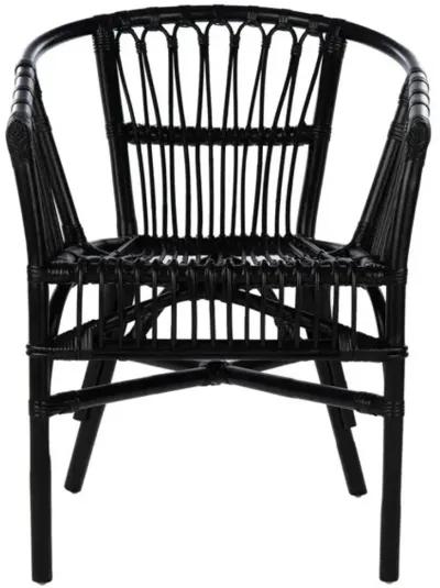 ADRIANA RATTAN ACCENT CHAIR - Set of 2