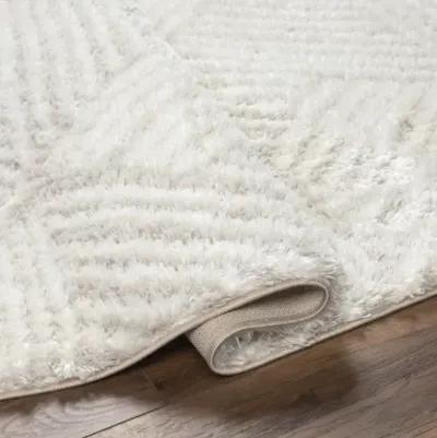 Cloudy Shag CDG-2319 7'10" x 10' Machine Woven Rug