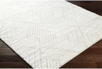 Cloudy Shag CDG-2319 7'10" x 10' Machine Woven Rug