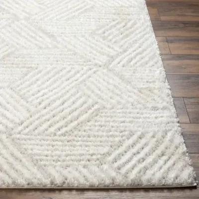 Cloudy Shag CDG-2319 7'10" x 10' Machine Woven Rug