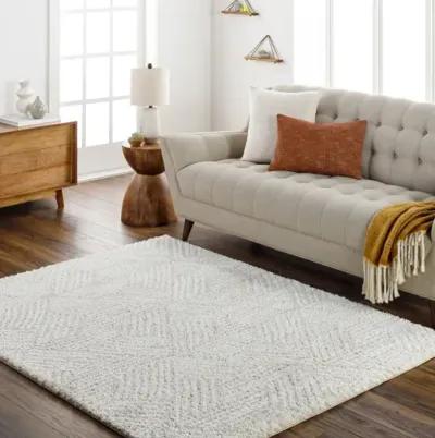 Cloudy Shag CDG-2319 7'10" x 10' Machine Woven Rug