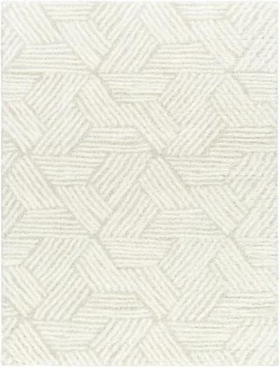 Cloudy Shag CDG-2319 7'10" x 10' Machine Woven Rug