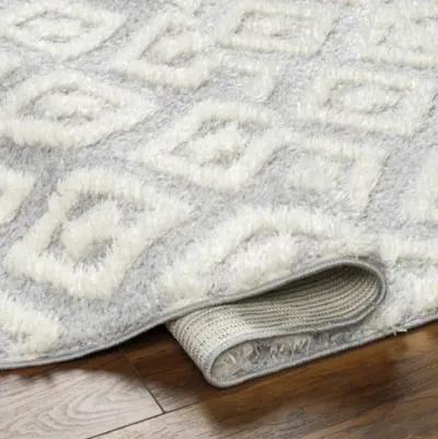 Rodos RDO-2338 7'10" x 10' Machine Woven Rug