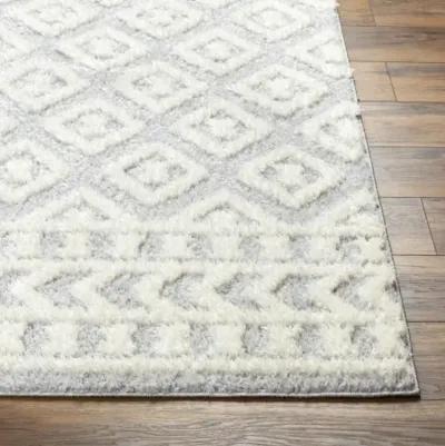 Rodos RDO-2338 7'10" x 10' Machine Woven Rug