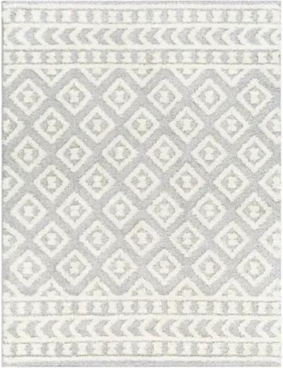 Rodos RDO-2338 7'10" x 10' Machine Woven Rug