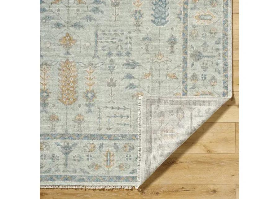 Riviera RIV-2304 2' x 3' Handmade Rug