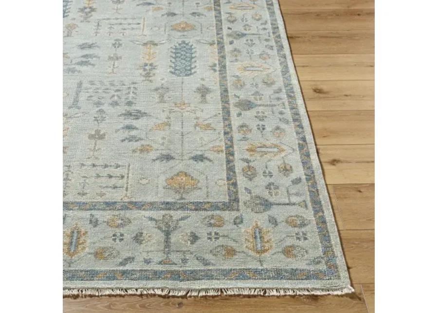 Riviera RIV-2304 2' x 3' Handmade Rug